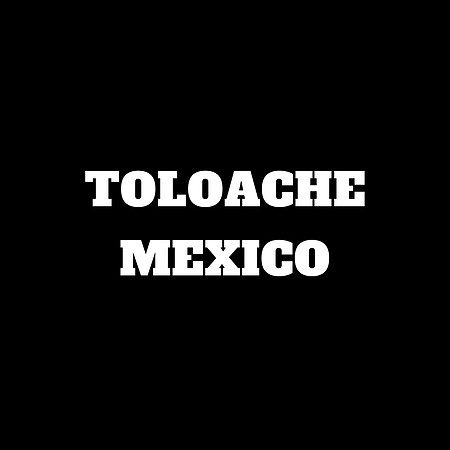 09_Toloache_Mexico